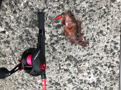 メバリング→エギング→ジギング→穴釣り