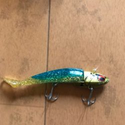 イワシ追いかけ辺りボイルだらけ