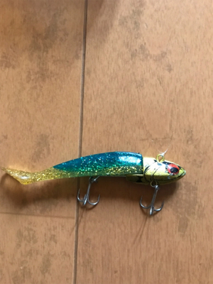 イワシ追いかけ辺りボイルだらけ