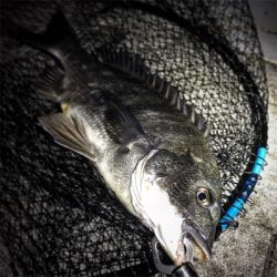 2日続けてオール（笑）