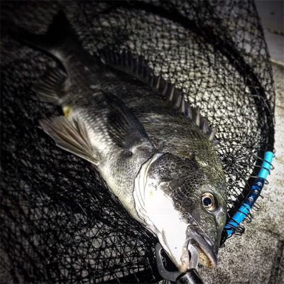 2日続けてオール（笑）