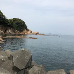 オヤジたちのアジ、メバ、エギング‼️