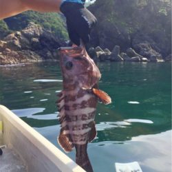 メタルジグで45cmのマハタがガツン（手漕ぎボート）