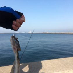 ライトワインド