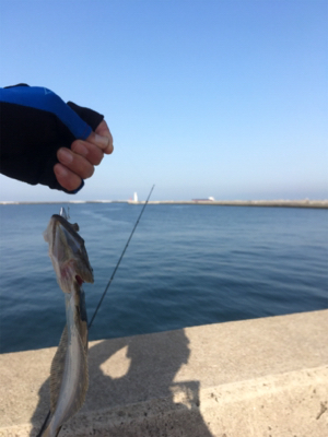 ライトワインド