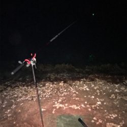 春アオリやけど…