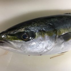 船のキャスティングで、初ゲット