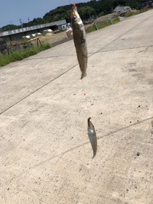 キスシーズン到来‼︎