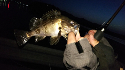 城崎旅行のついでに…
