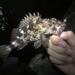 爆風ライトゲーム