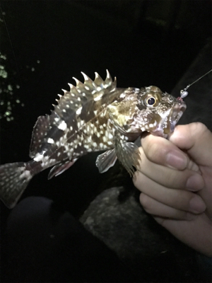 爆風ライトゲーム