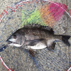 雨降り前に。。