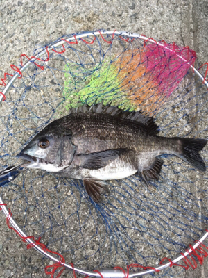 雨降り前に。。