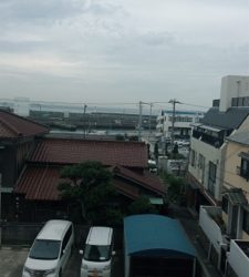 渋い！！！ガシラ1匹