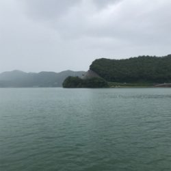 マイボートイカメタル調査？