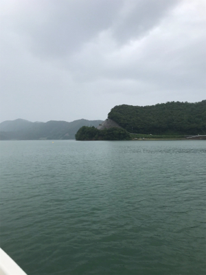 マイボートイカメタル調査？