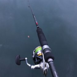 今年初イカ、人生初コウイカ