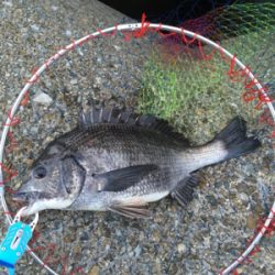 雨のあと肌寒く反応も渋い