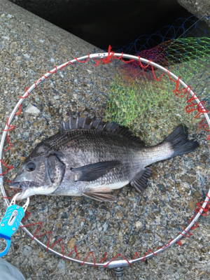 雨のあと肌寒く反応も渋い