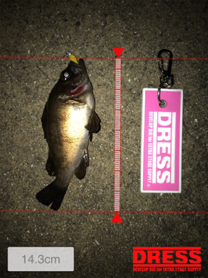 雨上がりのメバリング