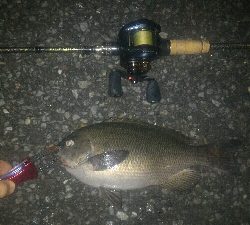 5目ライトゲーム