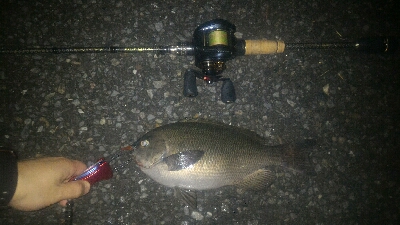 5目ライトゲーム