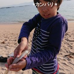 キス本格シーズン到来!