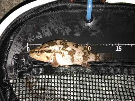 神戸ガシリング