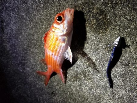 宮古島　平良港にてライトゲーム2