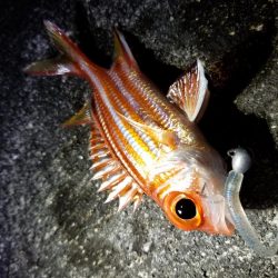 宮古島　平良港にてライトゲーム3