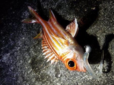 宮古島　平良港にてライトゲーム3