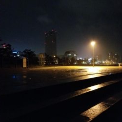 雨上がりシーバス釣行