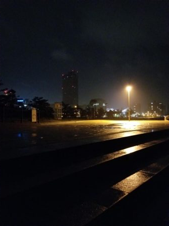 雨上がりシーバス釣行