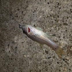 荷取川漁港　宮古島