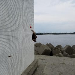 はじめてきました