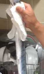 ダツ釣れました。