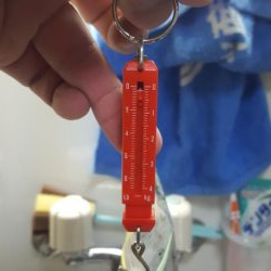 久々の陸っぱりエギング(コウイカ狙い)