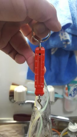 久々の陸っぱりエギング(コウイカ狙い)