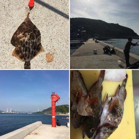 釣れない。。。