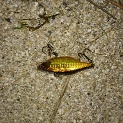 諦めかけたその時