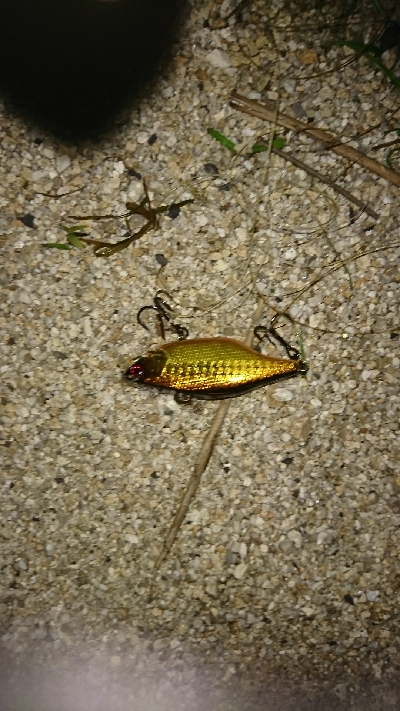 諦めかけたその時