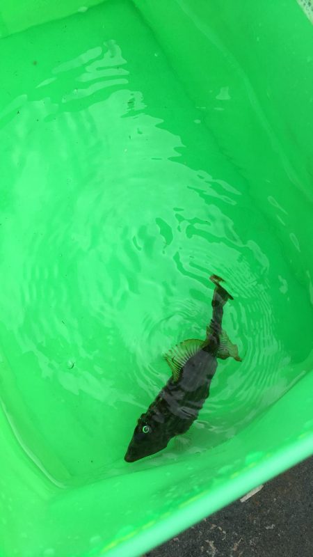 風が強かった…