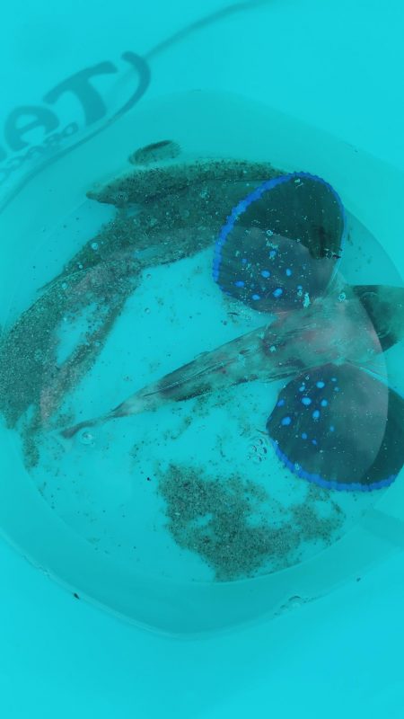 またもや家の裏で