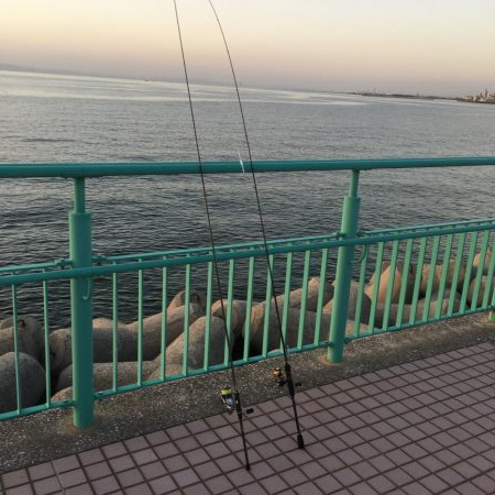 りんくう〜泉大津 メバリング