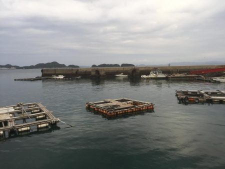 アラカブだー！