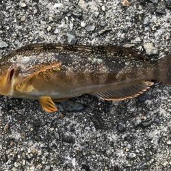 今日は、小物ばかり。