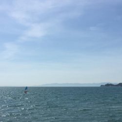 何とか二桁釣れました。