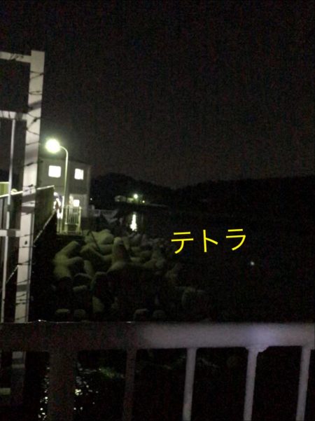 ガシラいっぱい