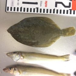 初キス釣れました〜