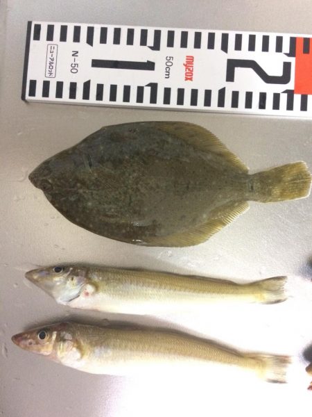 初キス釣れました〜